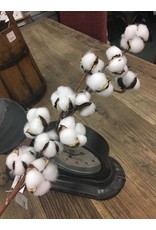 Cotton Ball Spray 29"