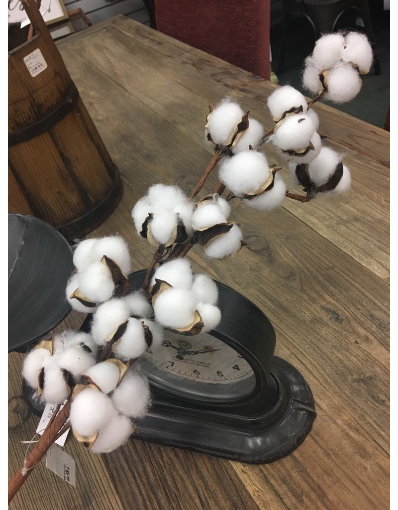 Cotton Ball Spray 29"