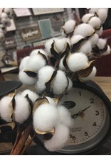 Cotton Ball Spray 29"
