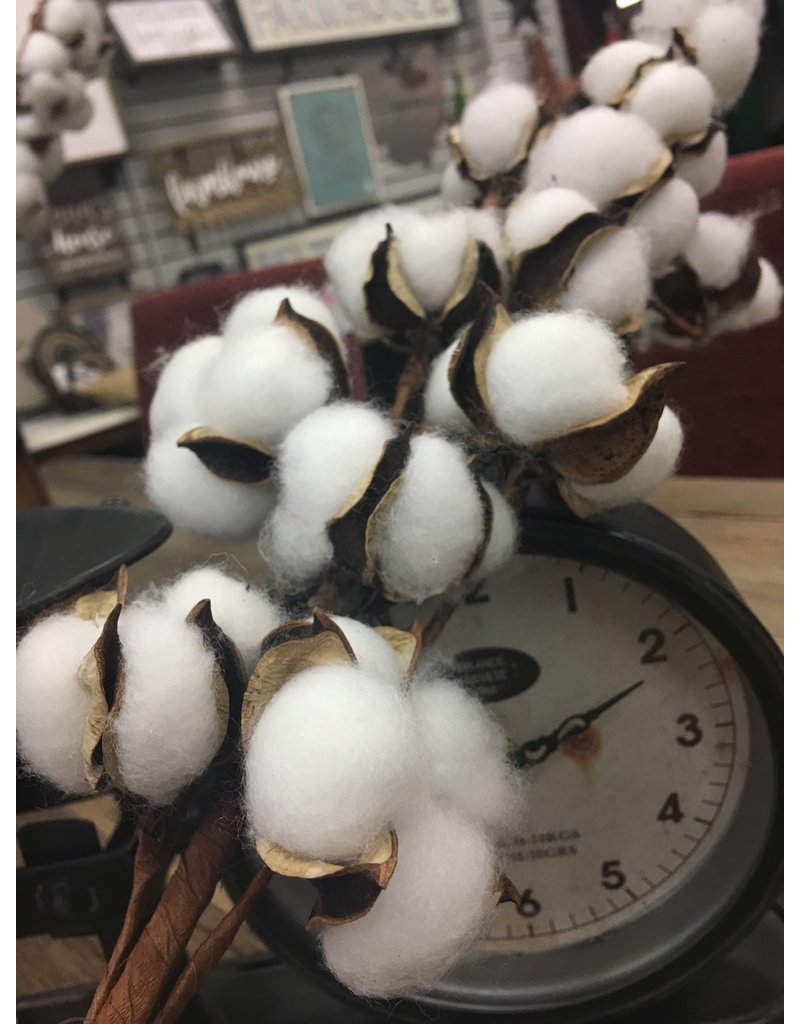 Cotton Ball Spray 29"