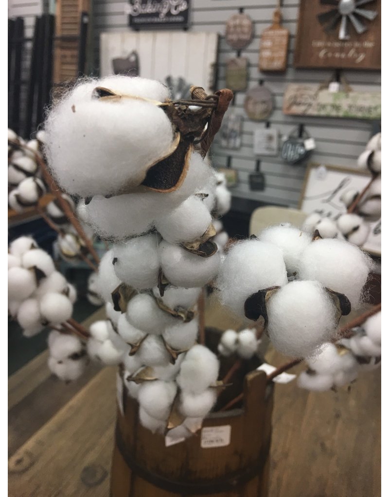 Cotton Ball Spray 29"