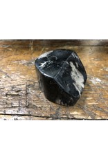 Petrified Wood Pen Holder