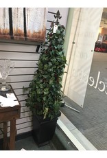 Potted Holly Topiary w Berries