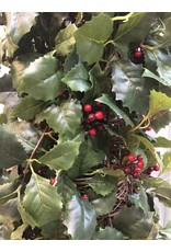 Potted Holly Topiary w Berries