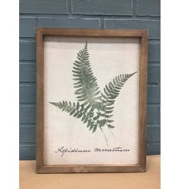 Forest Glen Fern Print