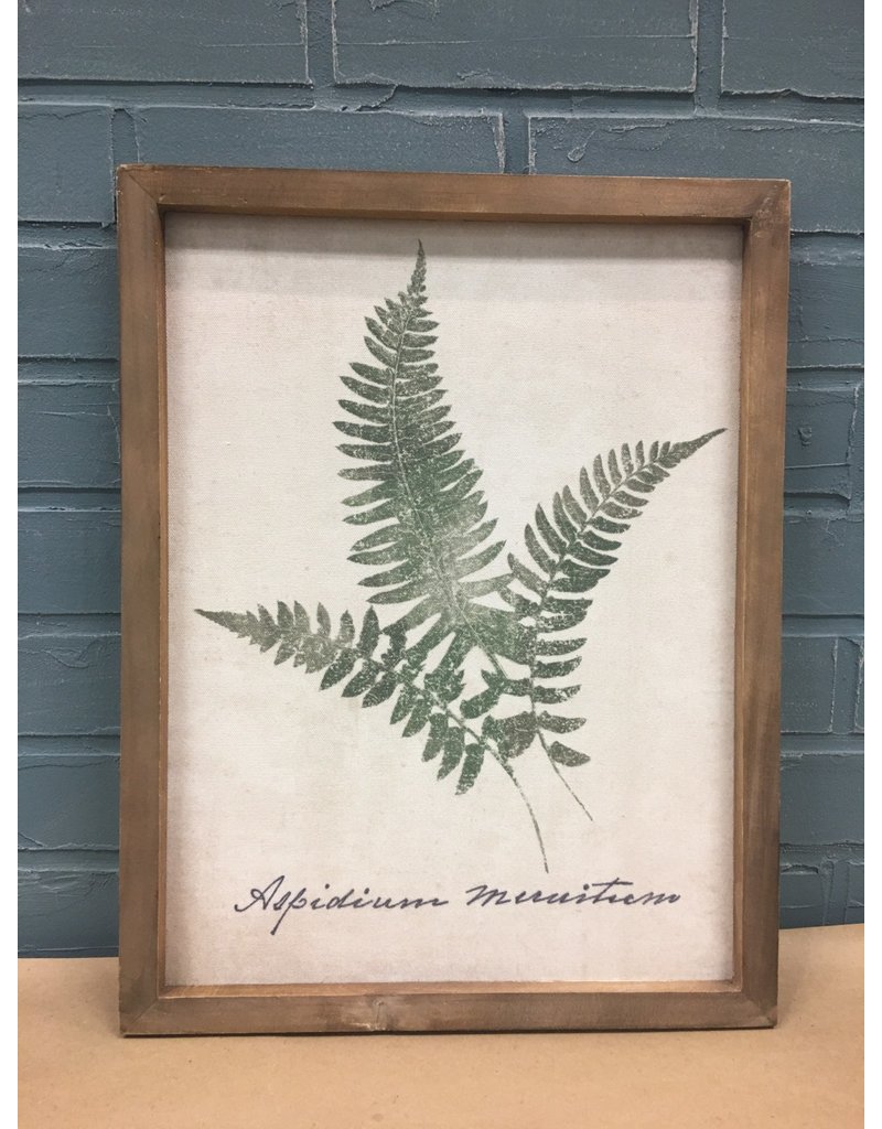 Forest Glen Fern Print