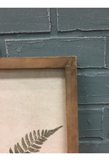 Forest Glen Fern Print