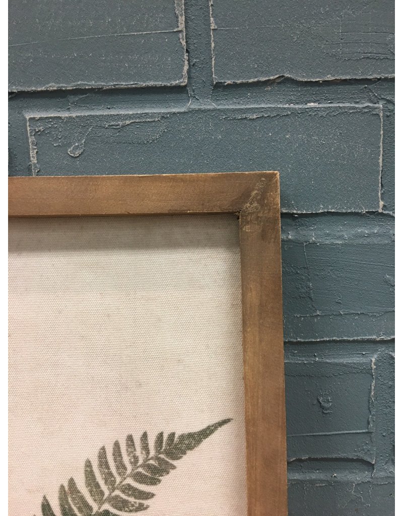 Forest Glen Fern Print
