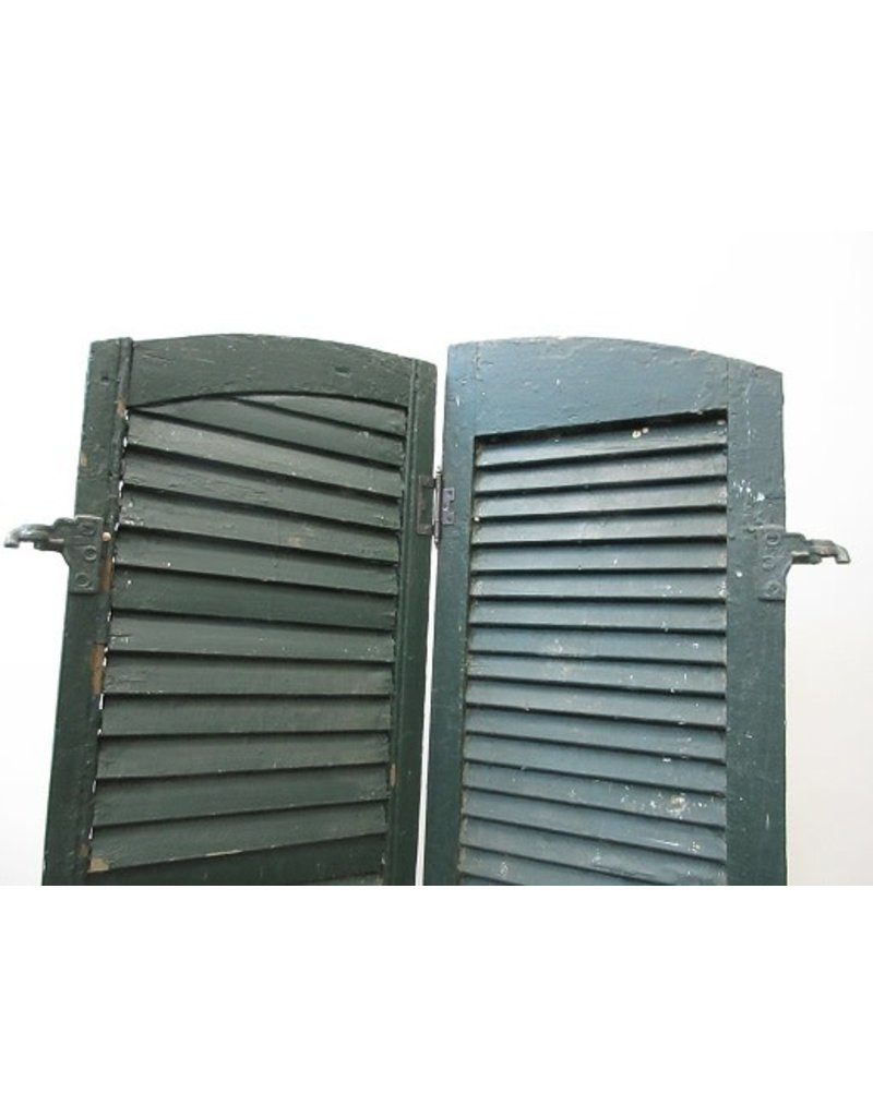 Pair of Green Shutters