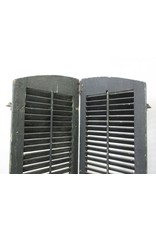 Pair of Green Shutters