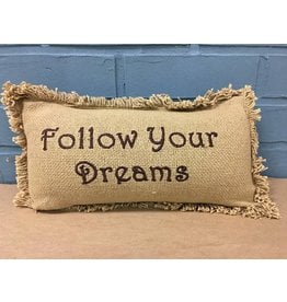 Follow Your Dreams Pillow