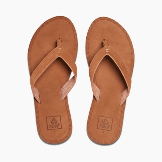 reef voyage le