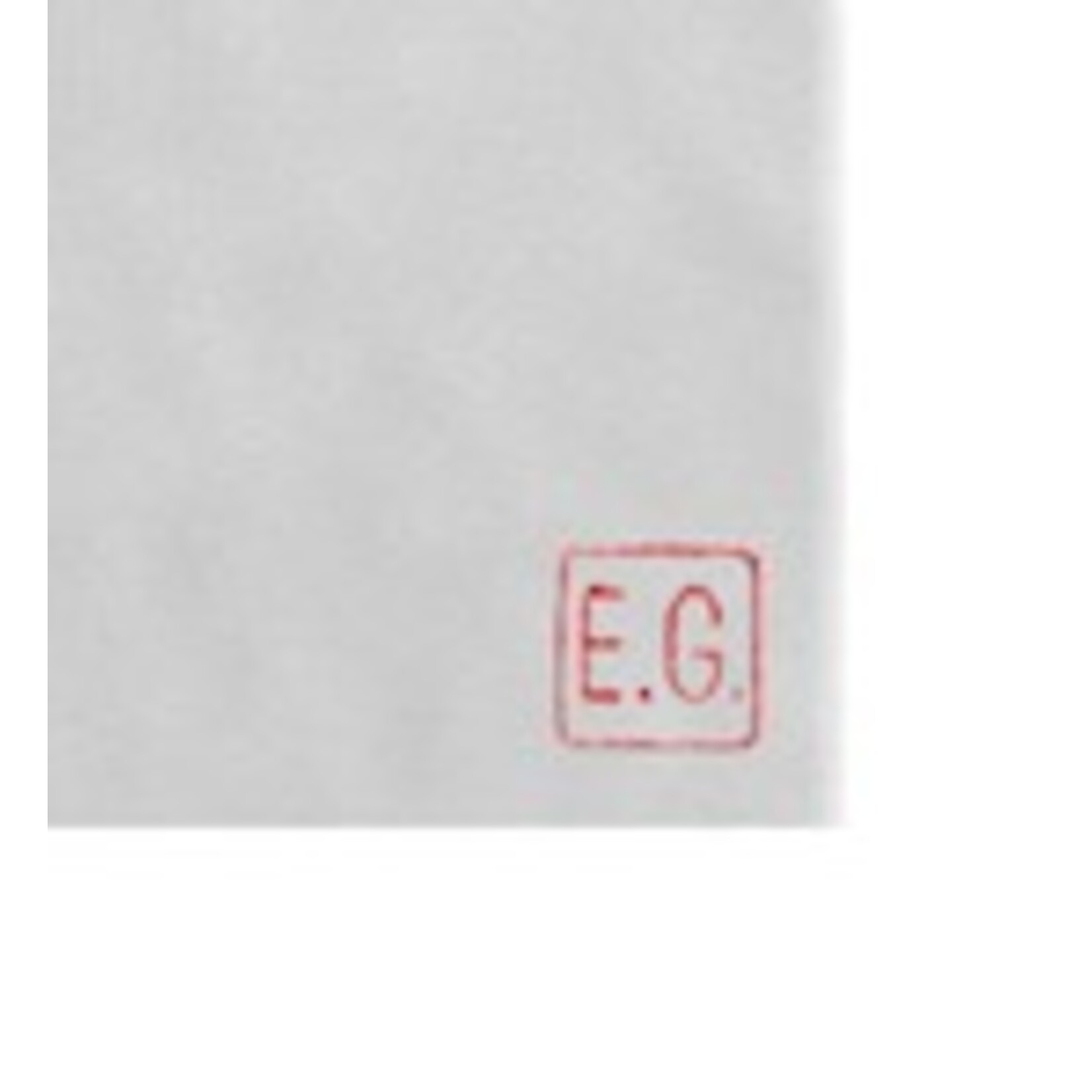 The Picturalist | Fine Art Photo Coque by Eric Gizard