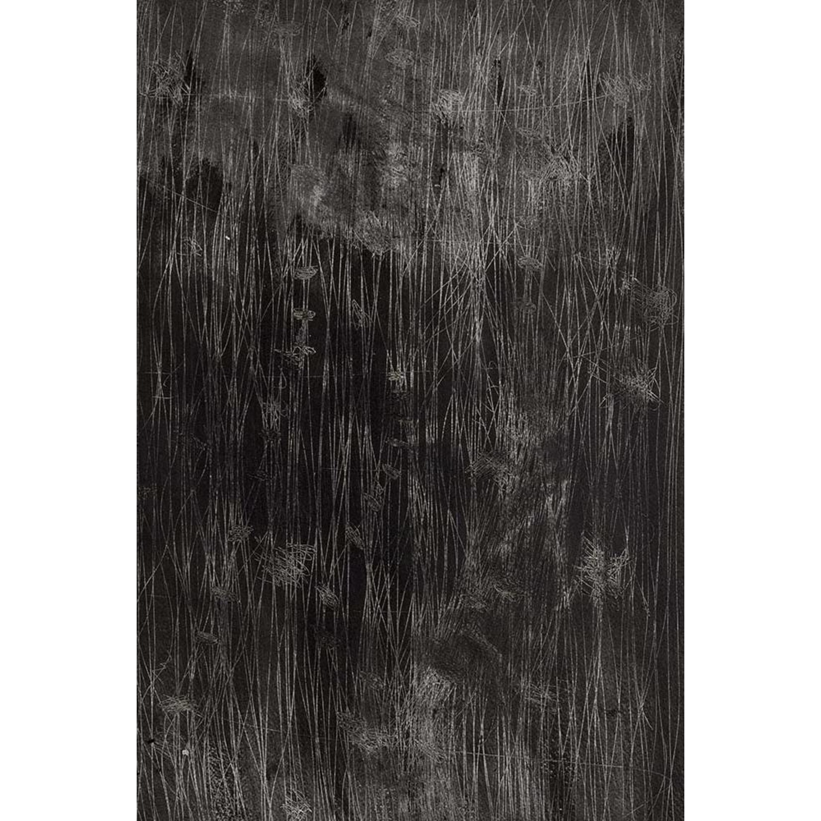 The Picturalist | Fine Art Prints on Paper Traces by Evelyn Ogly