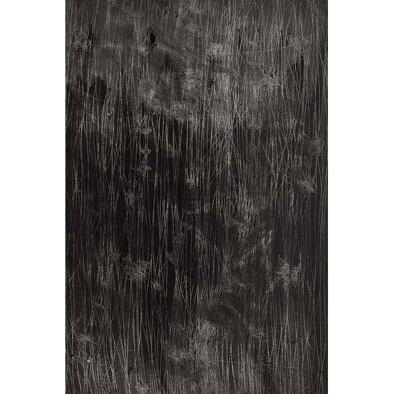 The Picturalist | Fine Art Prints on Paper Traces by Evelyn Ogly
