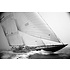 The Picturalist | Fine Art Prints on Paper Shamrock J Class by Kevin Dailey