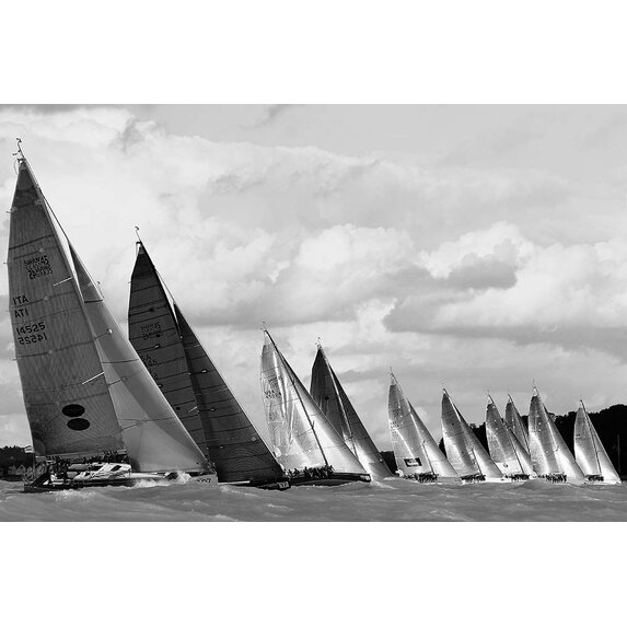 The Picturalist | Fine Art Prints on Paper Swan 45s on the Line 1.5 Format by Kevin Dailey