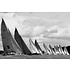 The Picturalist | Fine Art Prints on Paper Swan 45s on the Line 1.5 Format by Kevin Dailey