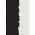 The Picturalist | Print on Canvas Predictive Analysis by Alejandro Franseschini