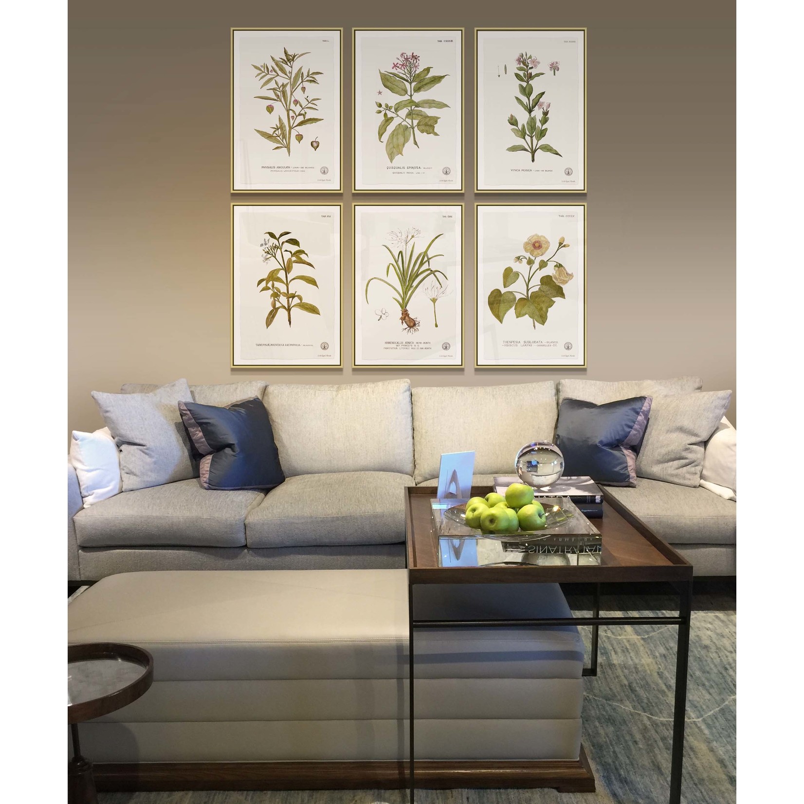 The Picturalist | Fine Art Prints on Paper Balsamifera Populus Botanical Print