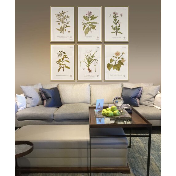 The Picturalist | Fine Art Prints on Paper Balsamifera Populus Botanical Print