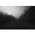 The Picturalist | Fine Art Prints on Paper Tomorrow at Dawn by T. Dzingharoff