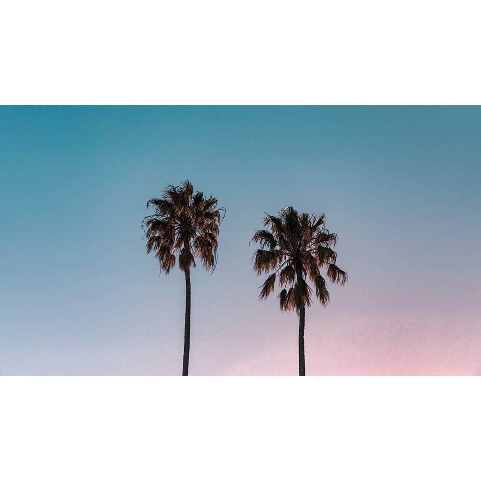 Facemount Acrylic: California Sunset by J. Davies