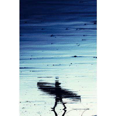 Framed Print on Rag Paper: A Walk on the Beach by Enric Gener