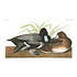 The Picturalist | Fine Art Prints on Paper Scaup Duck by John James Audubon