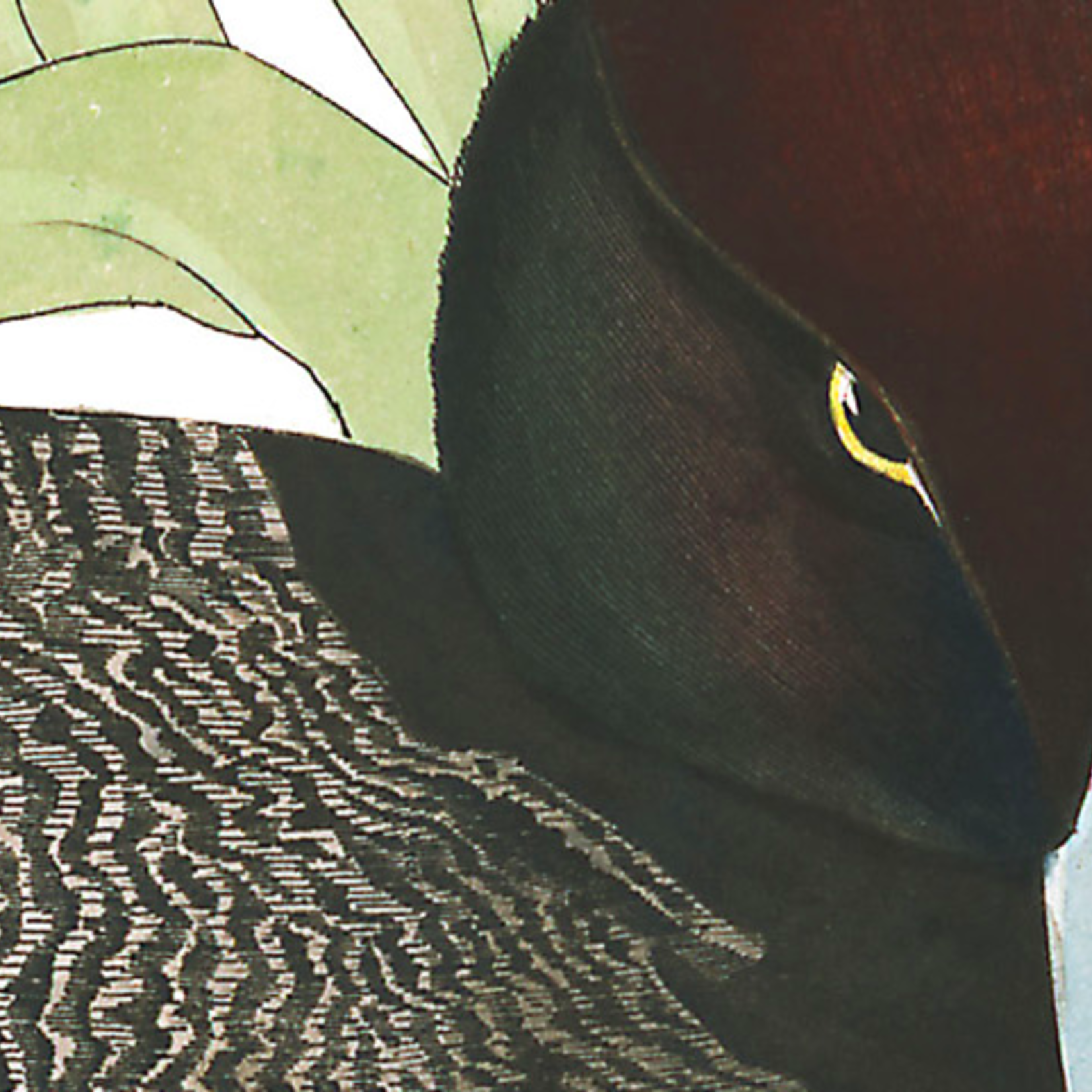 Framed Print on Rag Paper: Scaup Duck by John James Audubon