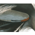 The Picturalist | Fine Art Print on Rag Paper Great Blue Heron by John James Audubon