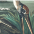 The Picturalist | Fine Art Prints on Paper Wood Ibis by John James Audubon