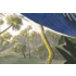 The Picturalist | Fine Art Prints on Paper Louisiana Heron by John James Audubon
