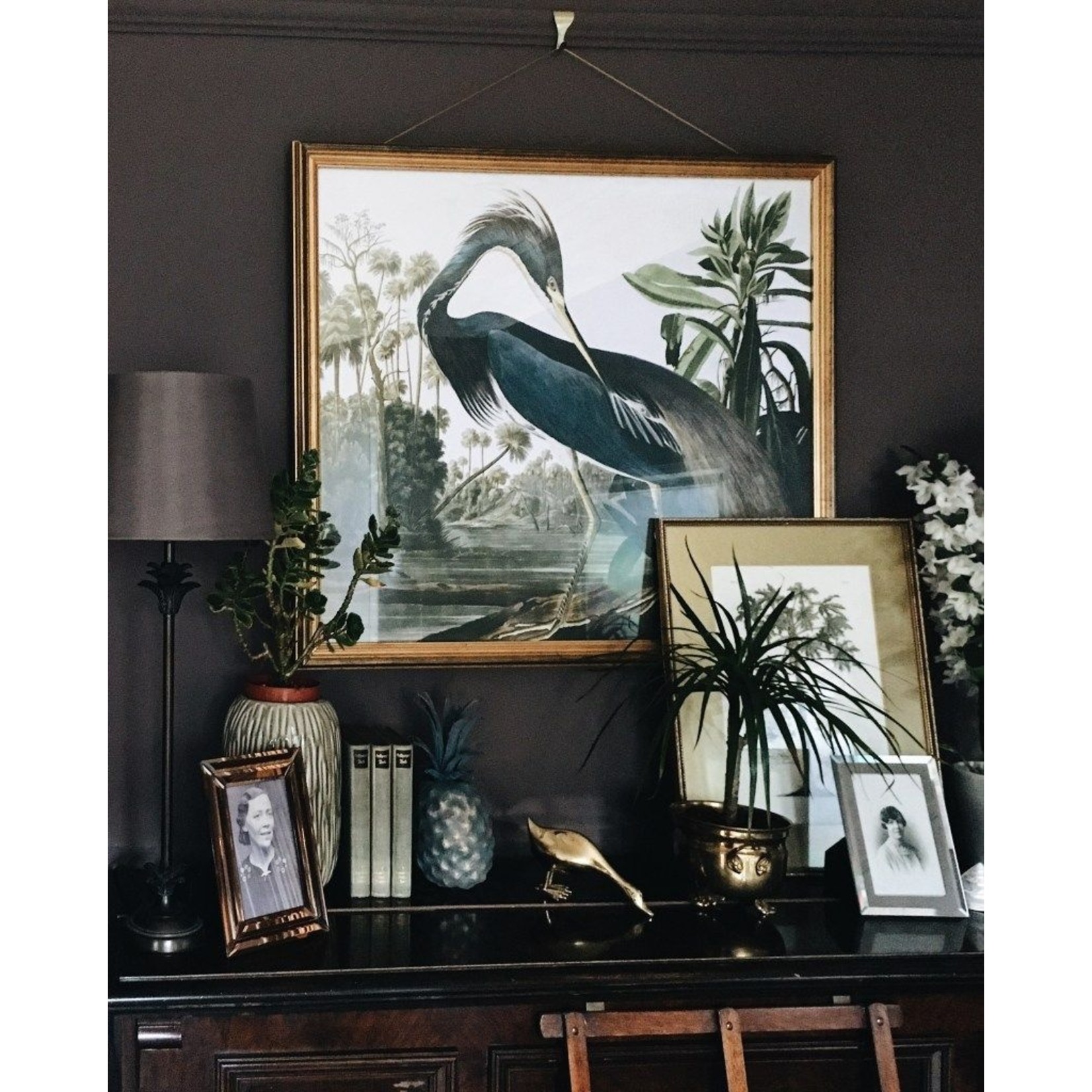 The Picturalist | Fine Art Prints on Paper Louisiana Heron by John James Audubon