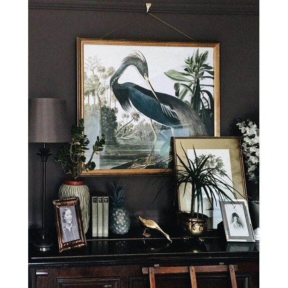 The Picturalist | Fine Art Prints on Paper Louisiana Heron by John James Audubon