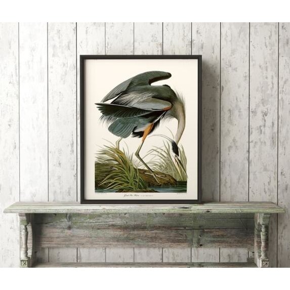 Framed Print on Rag Paper: Great Blue Heron by John James Audubon