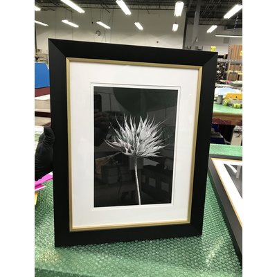 Framed Print on Rag Paper: Fleur de Coton