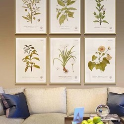 Shop  Botanical Prints