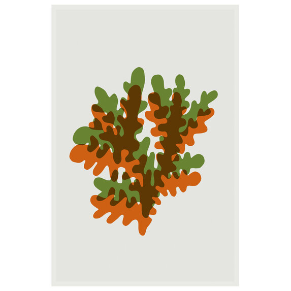 Facemount Acrylic: Coral in Green and Orange