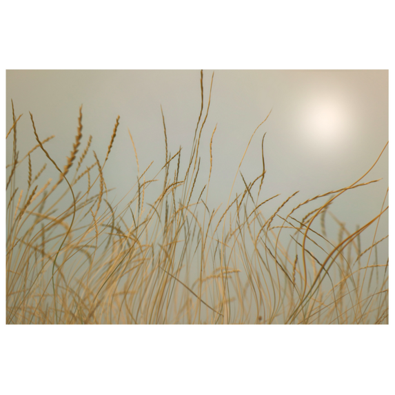 The Picturalist | Fine Art Prints on Paper You Are My Good Days by Karen Thom
