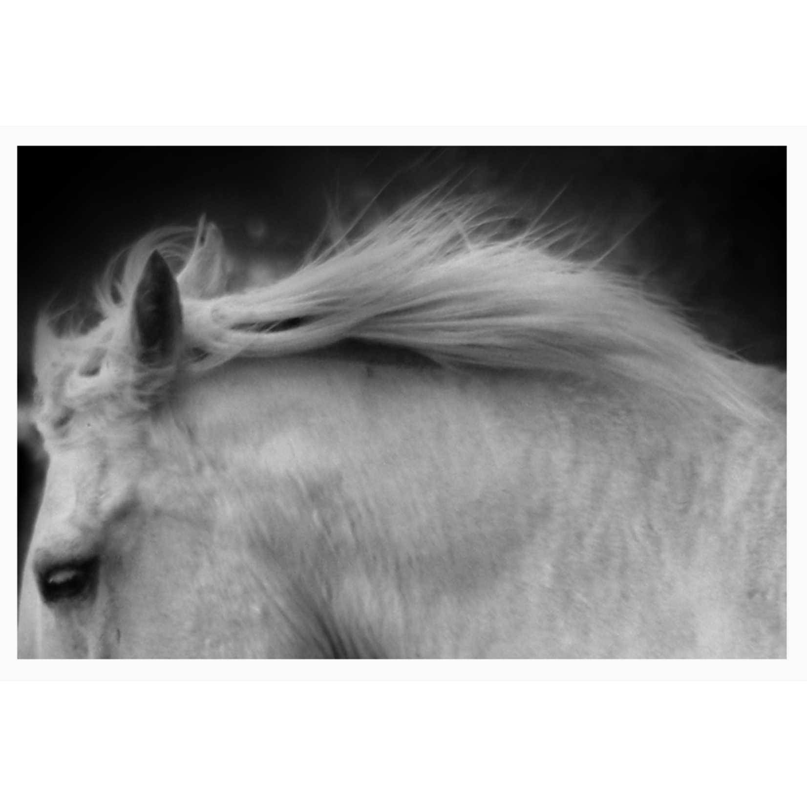 The Picturalist | Fine Art Prints on Paper Longing For You by Karen Thom