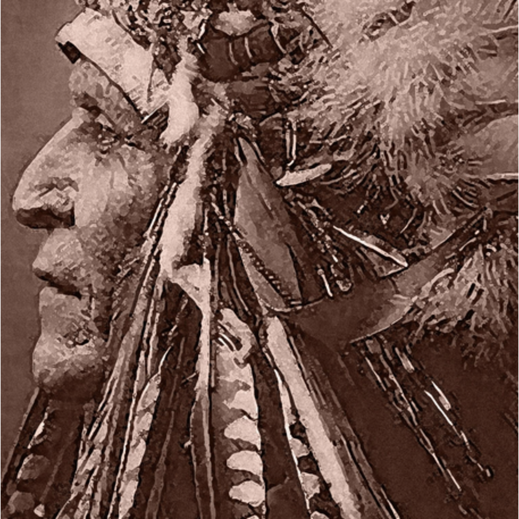 Fine Art Print on Rag Paper Vintage Photograph 1910 of  'Blackfoot Brave' with Headdress.