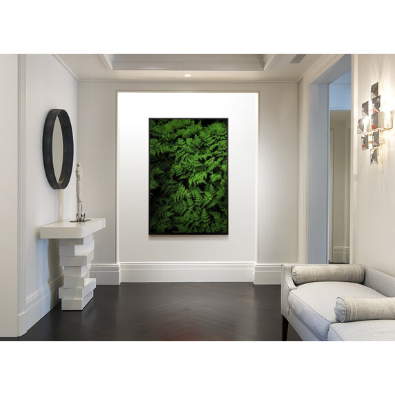 The Picturalist | Fine Art Prints on Paper Fern by G. Geller