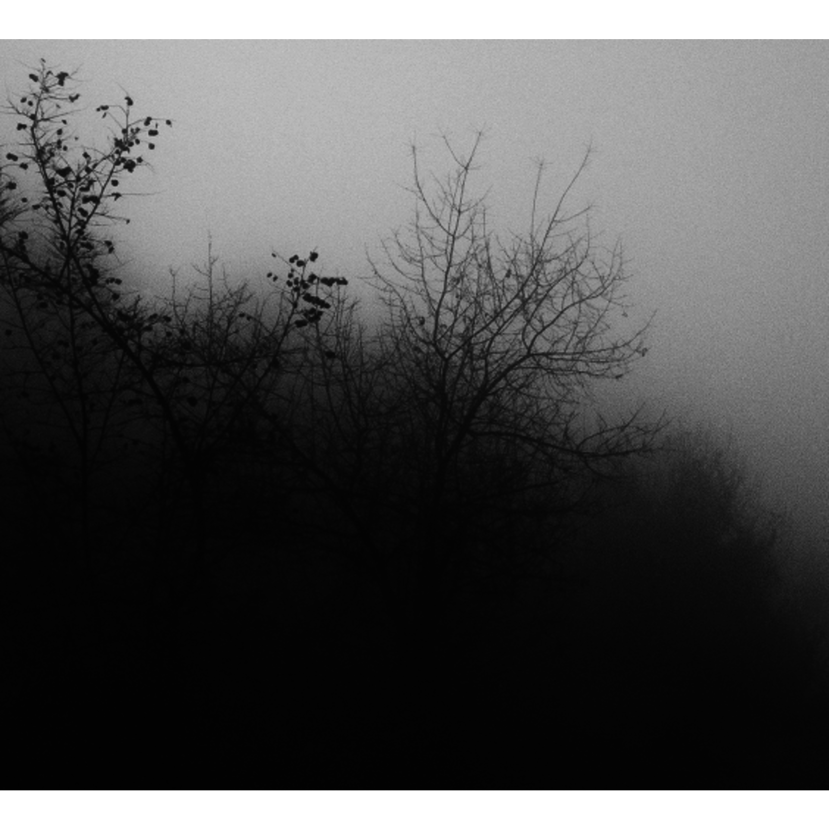 The Picturalist | Fine Art Prints on Paper Tomorrow at Dawn by T. Dzingharoff