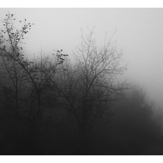 The Picturalist | Fine Art Prints on Paper Tomorrow at Dawn by T. Dzingharoff