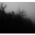The Picturalist | Fine Art Prints on Paper Tomorrow at Dawn by T. Dzingharoff