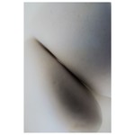 The Picturalist Fine Art Print on Rag Paper: Set In Stone 1