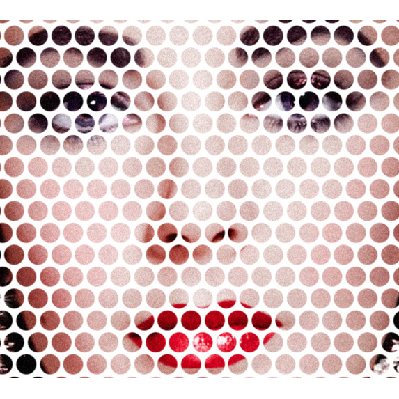 The Picturalist | Fine Art Prints on Paper Liz by Francesco Alessandrini