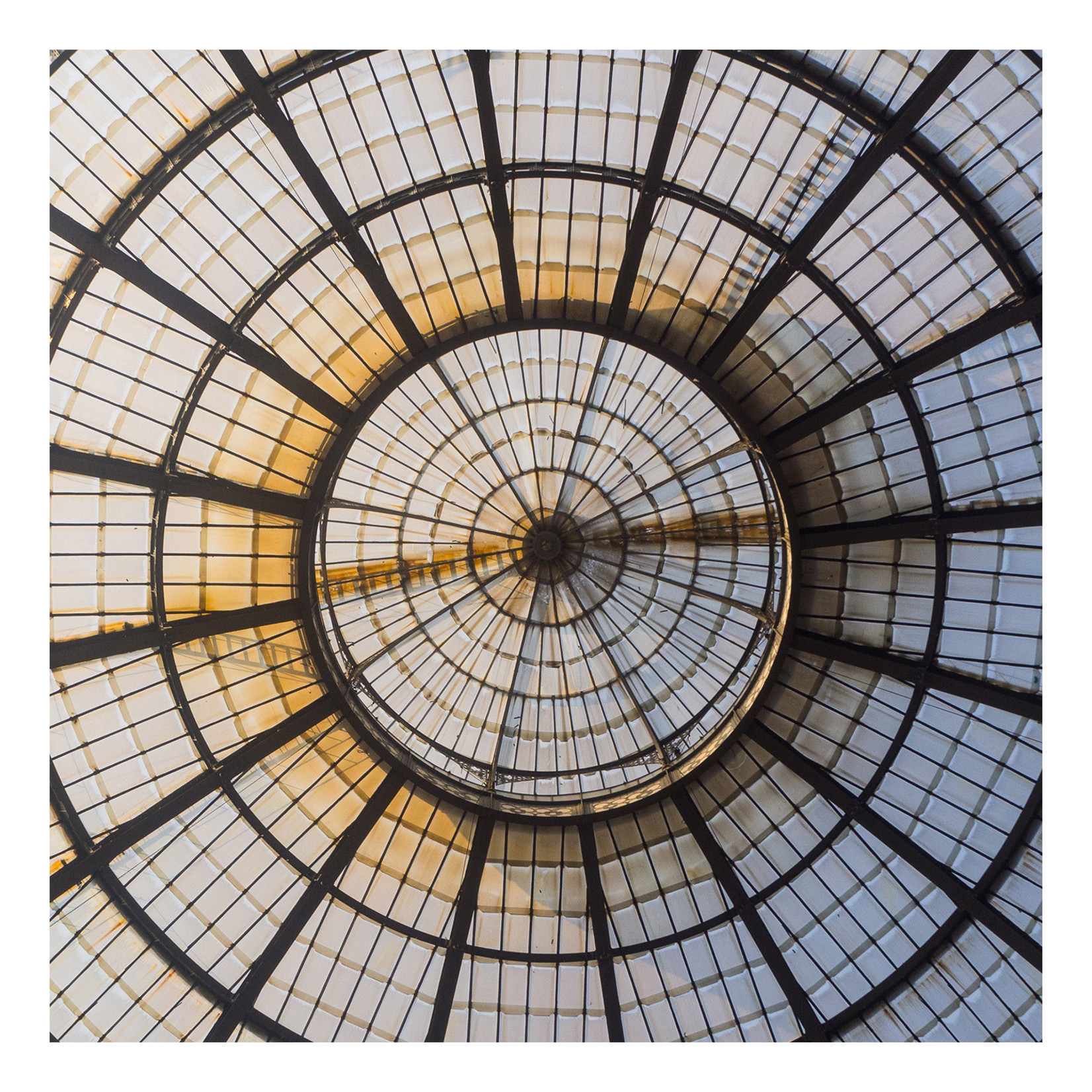 The Picturalist | Fine Art Prints on Paper Glass Dome
