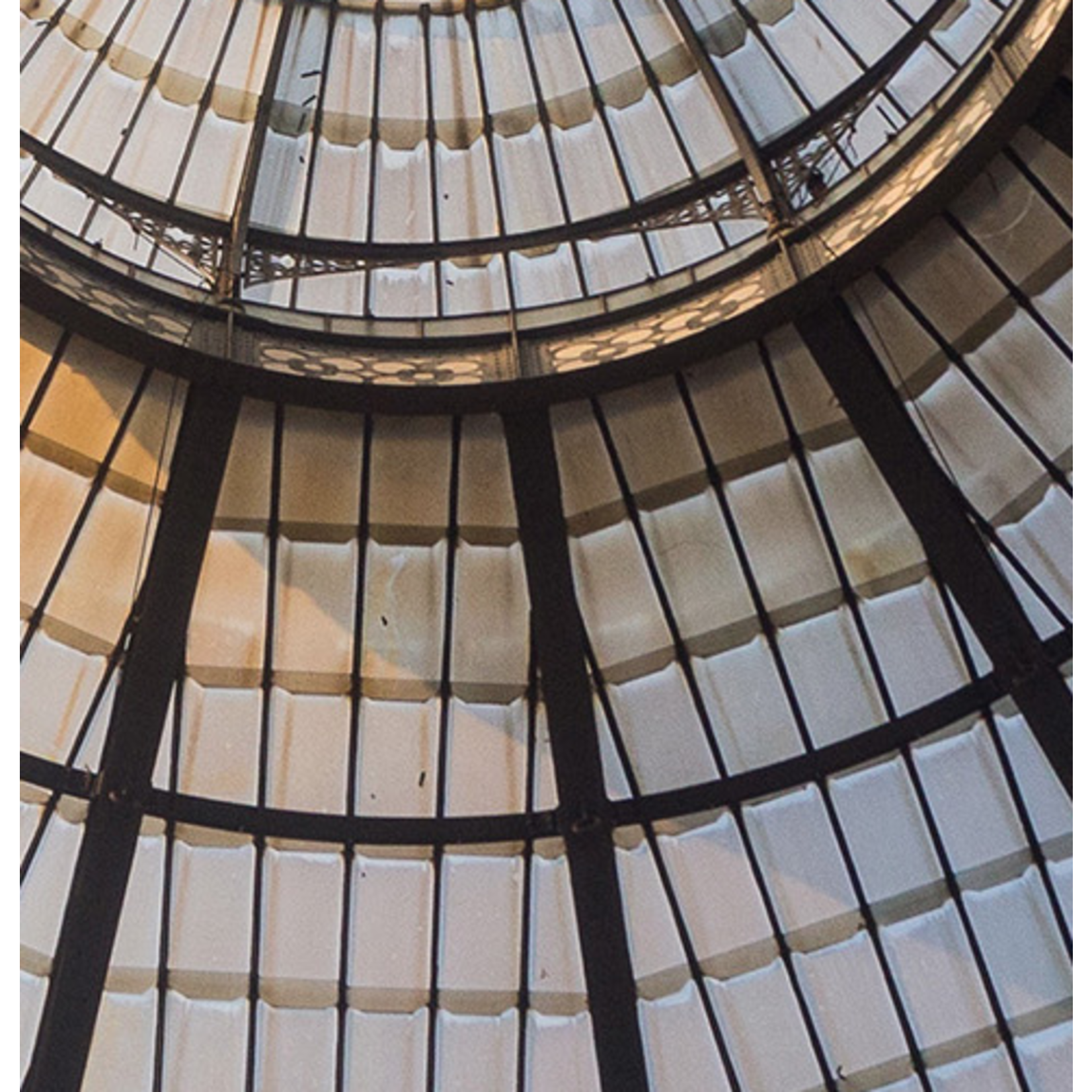 The Picturalist | Fine Art Prints on Paper Glass Dome